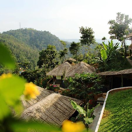 Eco Tones Hotel Munnar Bagian luar foto