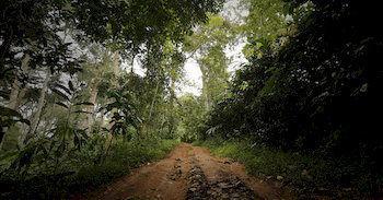 Eco Tones Hotel Munnar Bagian luar foto